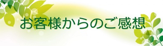 ファンジンよもぎ蒸し座浴器レビュー・感想