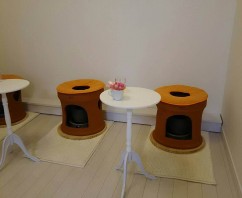 長崎県長崎市の黄土よもぎ蒸しサロン「MRKY」