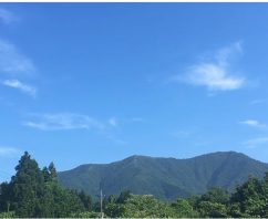 自然がいっぱい！岡山県真庭市のよもぎ蒸しサロン「Serafine444（セラフィーナ）」
