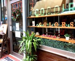 大阪府四條畷市楠公のよもぎ蒸しサロン cocoiro〜colors  心彩〜カラーズ