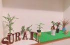 沖縄県浦添市のよもぎ蒸し自宅サロン「TOTALSALON SURAIL（スライル）」