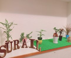 沖縄県浦添市のよもぎ蒸し自宅サロン「TOTALSALON SURAIL（スライル）」