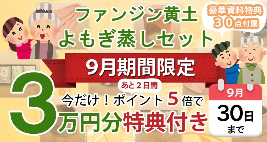 本格高級よもぎ蒸し2セット（自宅サロン開業用） よもぎ蒸しセット 自宅 サロン向け