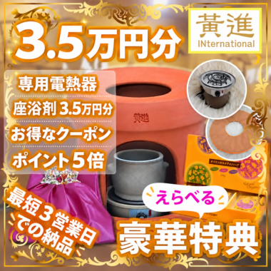 ファンジン黄土よもぎ蒸しセット（3.5万円分特典+3.8万円クーポン+３０種類の資料）
