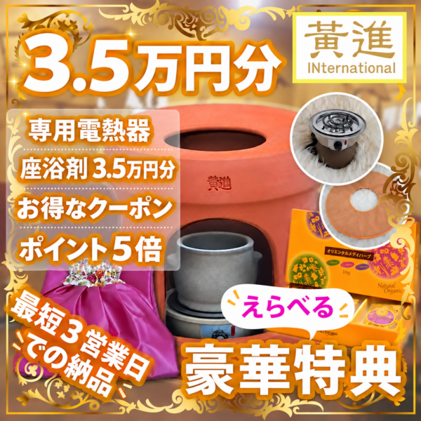 ファンジン黄土よもぎ蒸しセット(3.5万円分特典+3.8万円クーポン+30種類の資料)